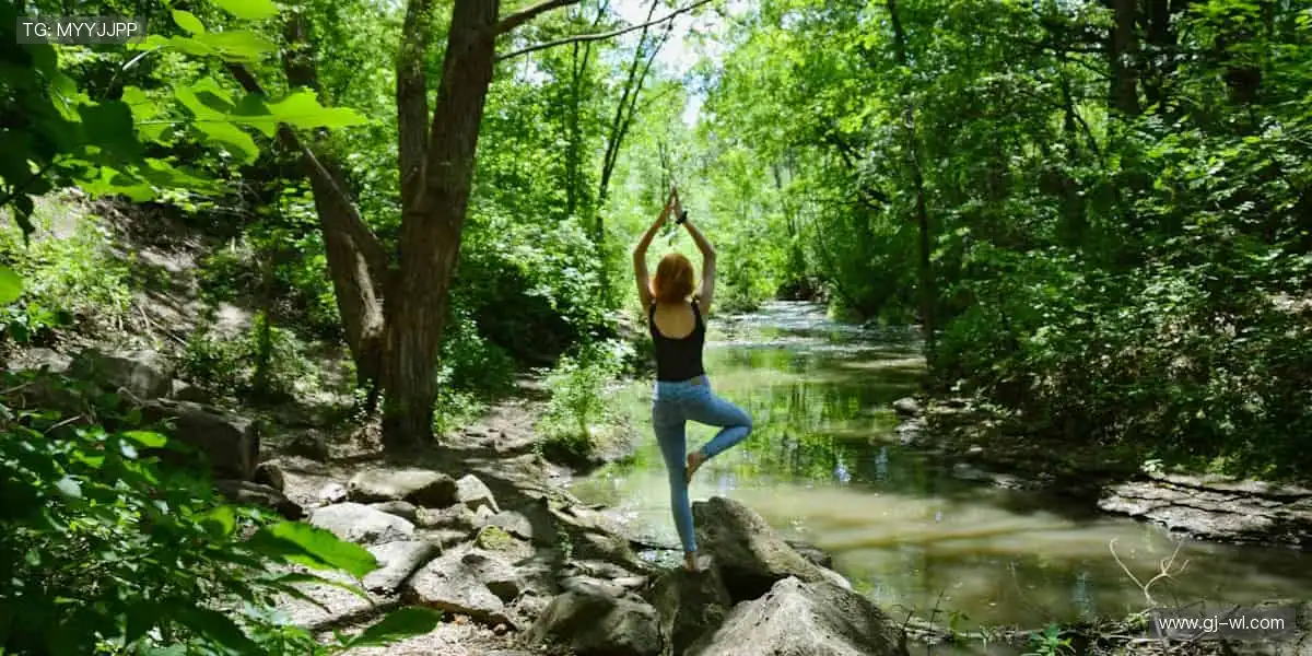 📱🏀 直播时刻，随时掌控！