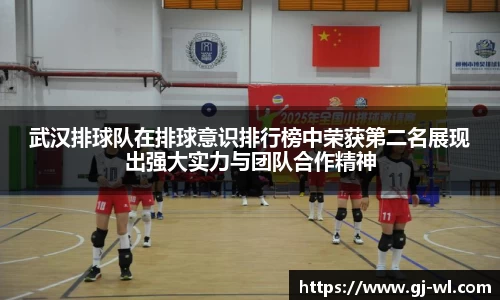 武汉排球队在排球意识排行榜中荣获第二名展现出强大实力与团队合作精神